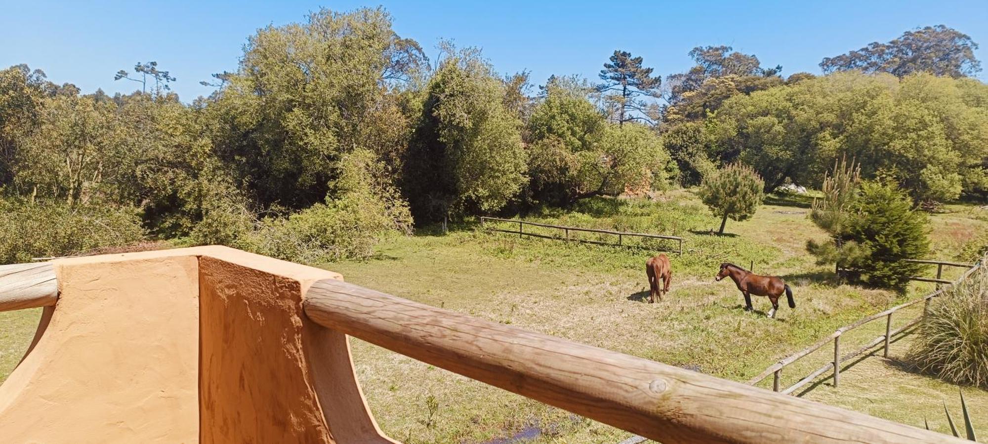 普拉亚德米拉Casas Da Barra别墅 客房 照片